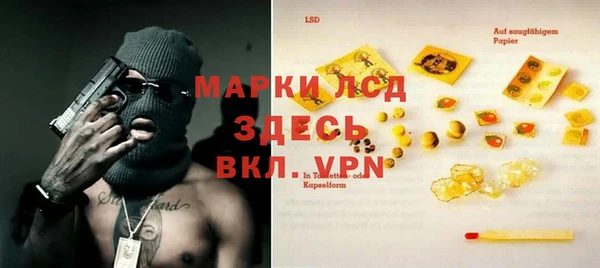 гашик Богданович