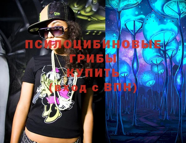 гашик Богданович