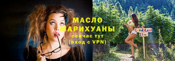 гашик Богданович