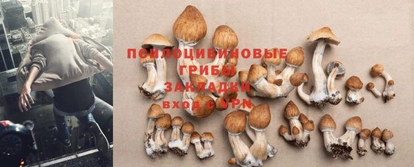 прущий лед Богородск