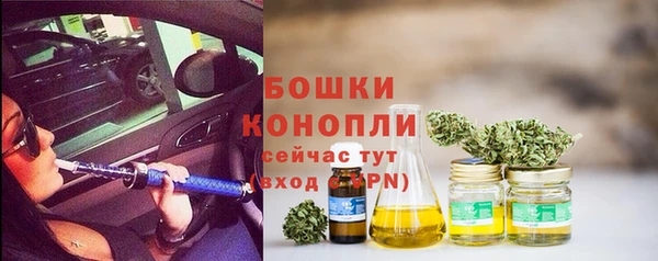 гашик Богданович
