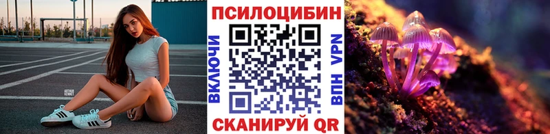 Купить закладки  Калач-на-Дону  Галлюциногенные грибы Cubensis 