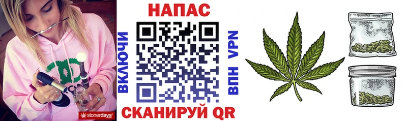Купить закладки  Калач-на-Дону  Каннабис OG Kush 